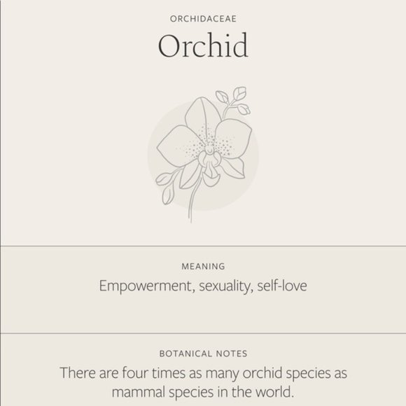 Orchid Floral Boho Minimalist Indie Plant Necklace - Picture 6 of 15